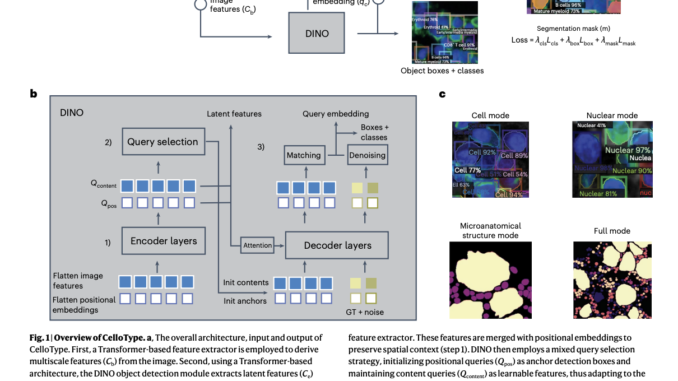 CelloType: A Transformer-Based AI Framework for Multitask Cell Segmentation and Classification in Spatial Omics