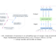 Meta AI Proposes Large Concept Models (LCMs): A Semantic Leap Beyond Token-based Language Modeling