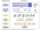 Microsoft Research Introduces AI-Powered Carbon Budgeting Method: A Real-Time Approach to Tracking Global Carbon Sinks and Emission