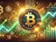 100% Of Bitcoin Holders Back in Profit For The First Time Since November 2024 – Explosive Rally Ahead?