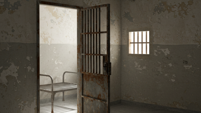 Jailed Tornado Cash Developer Alexey Pertsev To Be Freed Under Alexey Pertsev