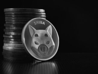 Shiba Inu