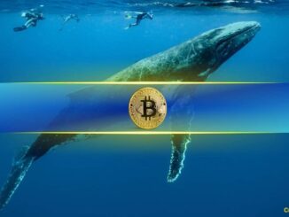 Bitcoin Whales Have Been Buying 'Like Never Before:' Analyst 