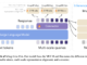 Ming-Lite-Uni: An Open-Source AI Framework Designed to Unify Text and Vision through an Autoregressive Multimodal Structure