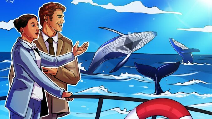 Ethereum whales, sharks keep buying up ETH as retail cashes out