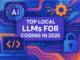 Top Local LLMs for Coding (2025)