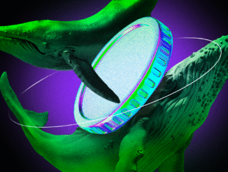 Crypto Whales Move Millions as Market Pulls Back