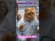 Funny cat ai video #cat #cartoon #superhero #funny #cute #ai #news #shorts