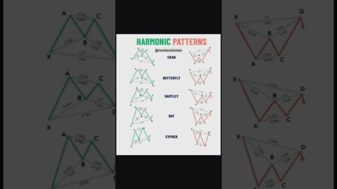 Harmonic Patterns Trading Guide | Master These 5 Powerful Patterns #trading #forex #crypto #binance