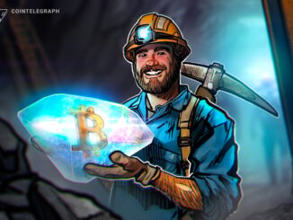 Solo Bitcoin Miner Wins $266K After Beating Huge Odds