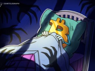 Crypto Market Drops As Trump Changes Fed Pick, AI Bubble Concerns Rise