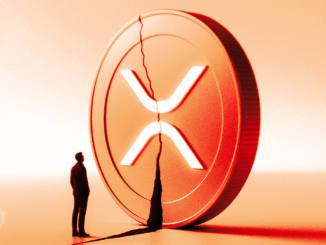 Largest Institutional XRP Holder Sits on $200 Million Paper Loss