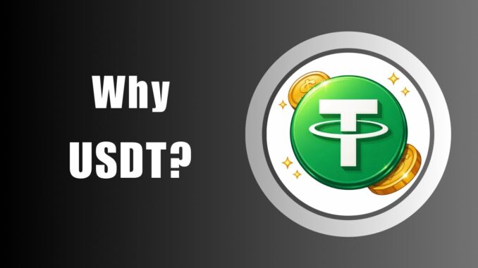 Why Indians Use USDT Instead of INR in Crypto? | Tether Beginner Guide
