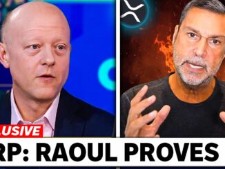 XRP: RAOUL PAL JUST EXPLAINED XRP'S REAL VALUE!!! (99% OF CRYPTO MISSED IT!!!)