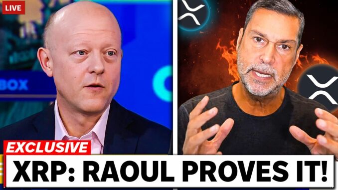 XRP: RAOUL PAL JUST EXPLAINED XRP'S REAL VALUE!!! (99% OF CRYPTO MISSED IT!!!)