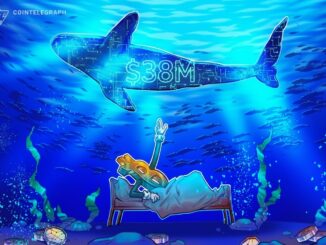 Hyperliquid Whale Shorts Bitcoin, Is A $75K Retest Incoming