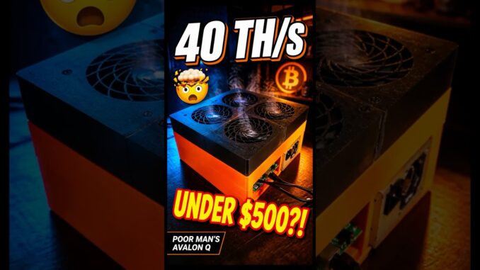 I Built a 40 TH/s Bitcoin Miner for Under $500 🤯